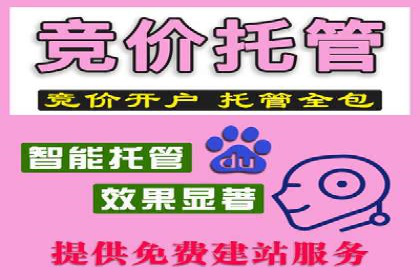 百度SEO推广公司成功案例：助力企业实现流量暴增