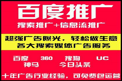 SEM公司案例分析：搜索引擎优化策略与执行